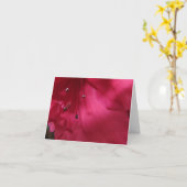 Carte pour notes vide de ketmie (Fleur jaune)