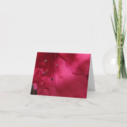 Carte pour notes vide de ketmie (Devant)