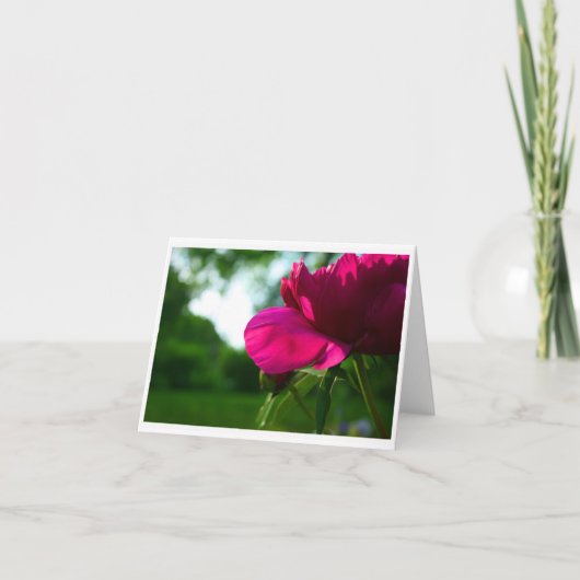 Carte pour notes vide de pivoine (Devant)