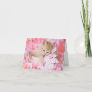 Carte pour notes vide floral de chaton de rose