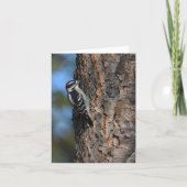 Carte pour notes vierge de Pic Downy (Devant)