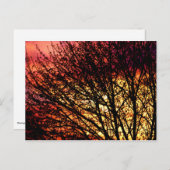 Carte pour notes vierge léger le soir (Devant / Derrière)