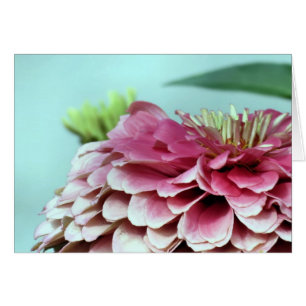 Carte pour notes - Zinnia Petals