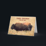 Carte Pour Son en droit Anniversaire avec une paire de b<br><div class="desc">Voeux d'anniversaire pour un beau-fils,  gendre avec une paire de bisons sur la prairie entourée de hautes herbes. Copyright © Shoaff Ballanger Studios,  2023.</div>