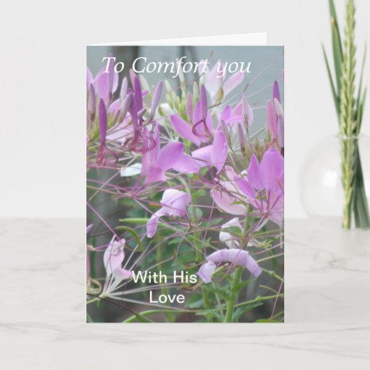 Carte Pour vous consoler (Devant)