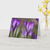 Carte pourpre de crocus (Fleur jaune)