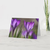 Carte pourpre de crocus (Devant)