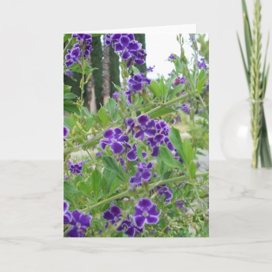 Carte pourpre de fleurs (Devant)
