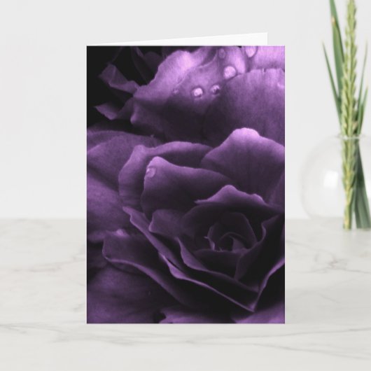 Carte Pourpre étroit d'un double bégonia (Devant)