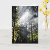 Carte Poutres (Fleur jaune)