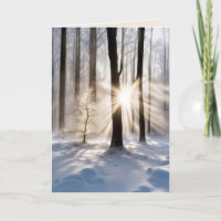 Poutres De Soleil Sympathiques En Forêt D'Hiver
