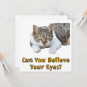 Carte Pouvez-Vous Croire Vos Yeux Mignonne Cat Art (Devant/Arrière en situation)