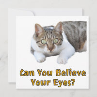 Pouvez-Vous Croire Vos Yeux Mignonne Cat Art