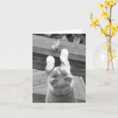 Carte Pouvons-nous être AMIS ? (Fleur jaune)