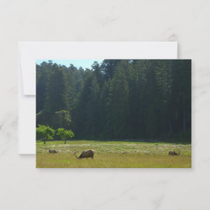 Carte Prairie aux élans du parc national de Redwood