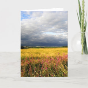 Carte prairie de fleurs sauvages