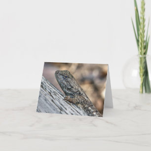 Carte Prairie Lizard