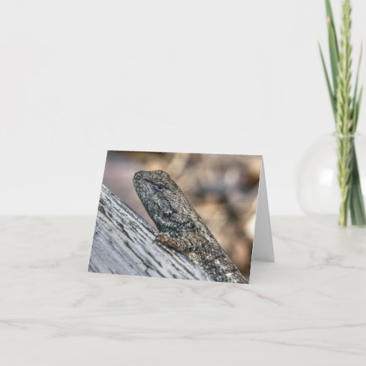 Carte Prairie Lizard (Devant)