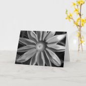 Carte Prairie Sun Rudbeckia B&W (Fleur jaune)
