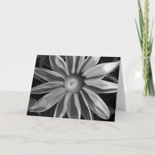 Carte Prairie Sun Rudbeckia B&W (Devant)