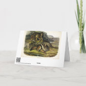 Carte Prairie Wolf (Dos)