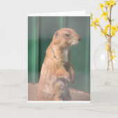 Carte Prarie chien. (Fleur jaune)