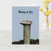 Carte Praying for Peace Hope & Joy, John 14:27 (Fleur jaune)