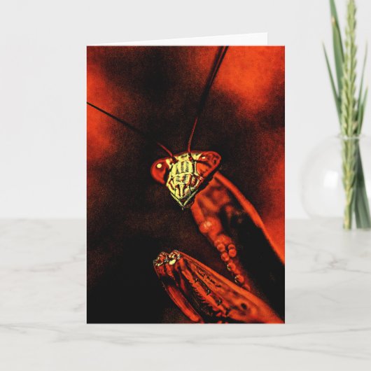 Carte Praying Mantis - Red Nightmare (Devant)
