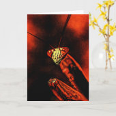 Carte Praying Mantis - Red Nightmare (Fleur jaune)