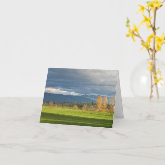 Carte Pré de StormLit (Fleur jaune)