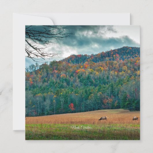 Carte Pré pittoresque de Caroline du Nord (étiqueté) (Devant)