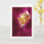 Carte Premier de la vie (Fleur jaune)