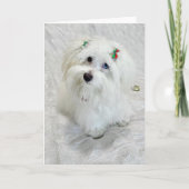 Carte Premier Noël (Devant)