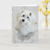 Carte Premier Noël (Fleur jaune)