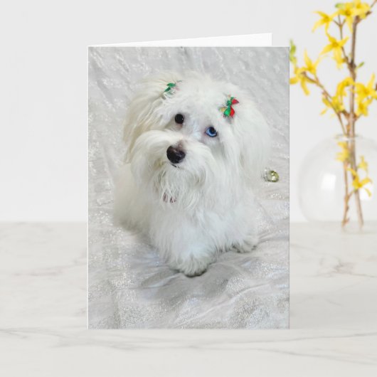 Carte Premier Noël (Fleur jaune)