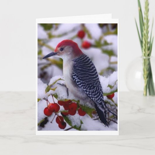 CARTE PRENDRE LE TEMPS DE TWEETER POUR DIRE HEUREUX ANNI (Devant)