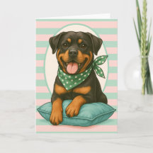 Preppy Rottweiler