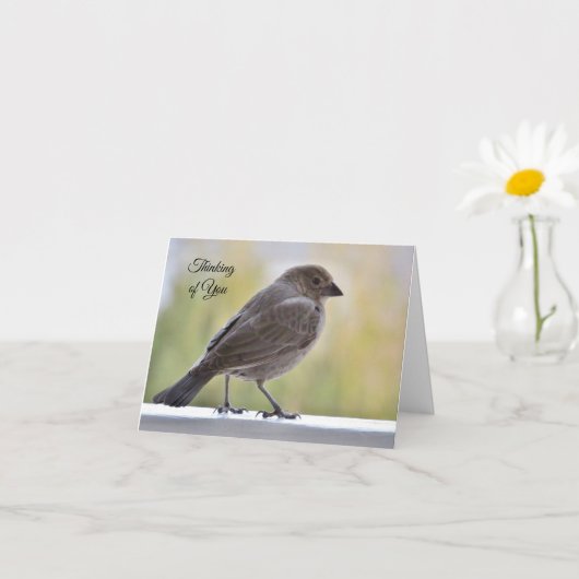 Carte Près de mon cœur et prières - Pensant à vous (Petite plante)