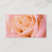 Carte presque rose de profil (Dos)