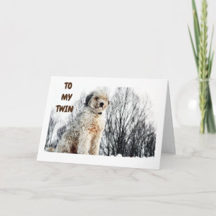 CARTE PRÊT À ENTENDRE MA VILLE A "LE MEILLEUR ANNIVERSAI