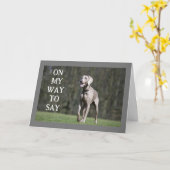 CARTE PRÊT À ENTENDRE QUE VOUS AVEZ EU UN ANNIVERSAIRE T (Fleur jaune)