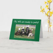 Carte PRÊT À FAIRE LA FÊTE - ÊTES-VOUS 40e (Fleur jaune)