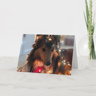 Carte Prêt pour les étagères de Noël