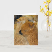 Carte Pretty baby (Fleur jaune)