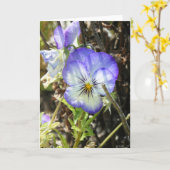 Carte "Pretty Pansy" (Fleur jaune)