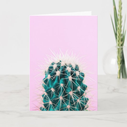 Carte Prickley Cactus sur rose (Devant)