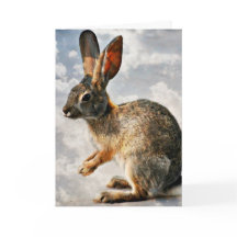 Prier Lapin dans les cieux