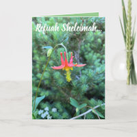 Prière de guérison, Refuah Sheleimah