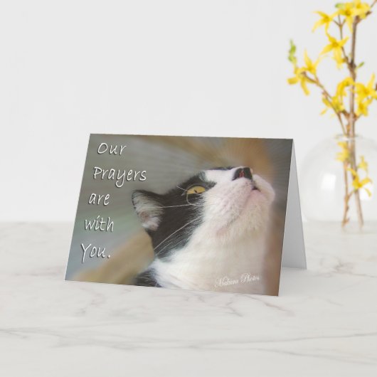 Carte Prières pour vous (Fleur jaune)