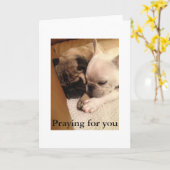 Carte Priez pour vous (Fleur jaune)